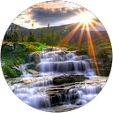 S ji profile picture